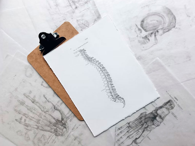 Menopausia y osteoporosis, cosas que debes saber,The Menopause Feel