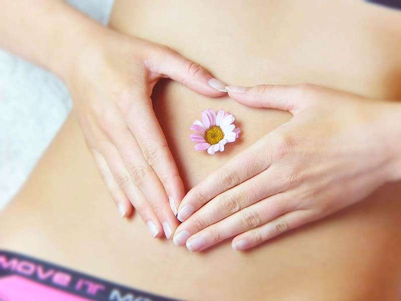 Bienestar digestivo durante la menopausia - The Menopause Feel